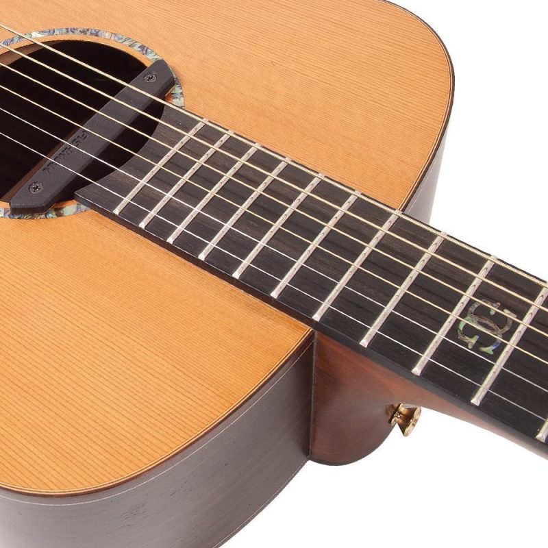 Vintage Gordon Giltrap Signature Deluxe Electro-Acoustic Guitar - Image 4