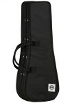 Tanglewood Concert ukulele hard case